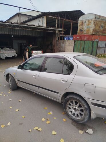 Nissan: Nissan Primera: 2000 г., 1.6 л, Автомат, Бензин, Седан