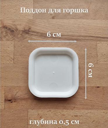 подносы для гидропоники: Комнатные растения для очищения воздуха в помещении и уюта — 4