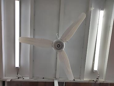 Воздуходувка: Вентилятор Потолочный, Лопастной — 8