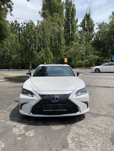 рекстон 2019: Lexus ES: 2019 г., 2.5 л, Автомат, Гибрид, Седан