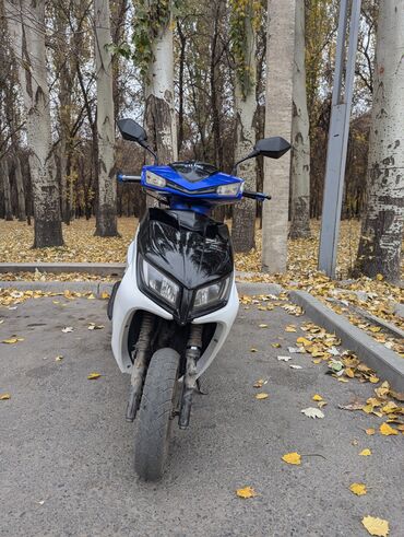 колесо скутер: Скутер түрү M8, 150 куб. см, Бензин, Жаңы