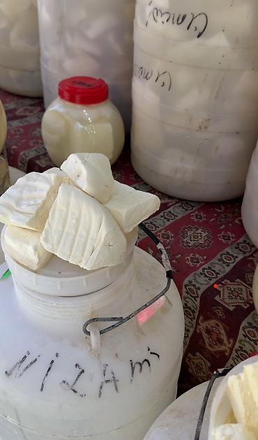 mozarella pendir: Ordubad keçi pendiri - Naxçıvanın Ordubad bölgəsinə məxsus ənənəvi — 1