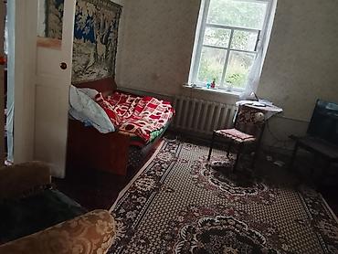 дом пр: Продается большой дом с плодоносным участком на у.На участке имеются — 7
