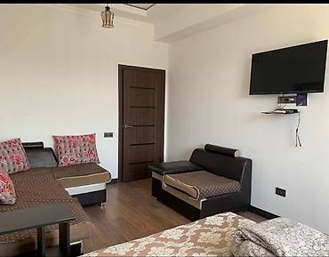 act: 1 комната, 38 м², Карпинка Элитка, 11 этаж, Евроремонт — 6