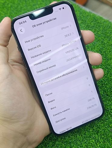 aipad mini: IPhone 13 Pro, Б/у, 256 ГБ, Alpine Green, Чехол, 74 % — 6