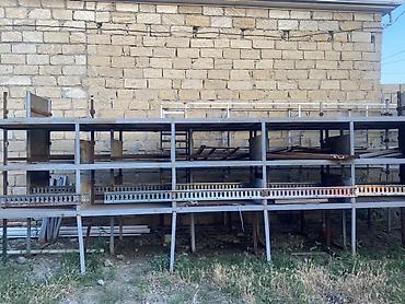 rottweiler qiyməti: Polkaa qiymet razizlawma yolu ile — 1