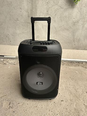ридер: Портативная акустическая система Sing-e ZQS12148 (12") - 12-дюймовый — 9