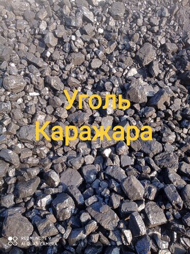 древесный уголь бишкек: Уголь Каражыра, Бесплатная доставка