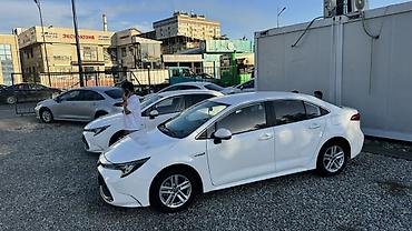жили машина: Toyota Corolla: 2022 г., Гибрид, Седан — 6