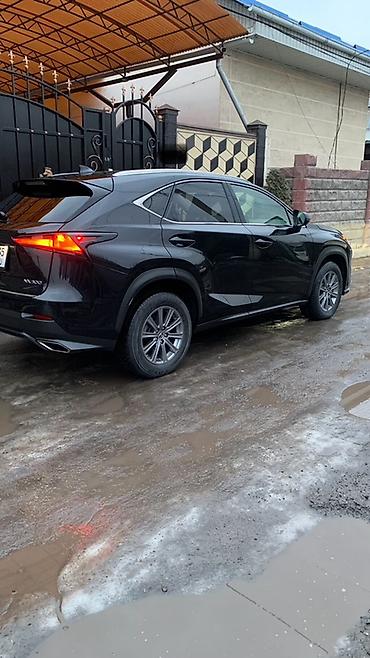 Lexus: Lexus NX: 2019 г., 2 л, Автомат, Бензин, Кроссовер — 3
