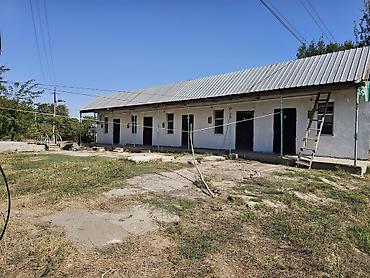 котедж слив пантера: Здание, Действующий 100 м² — 10