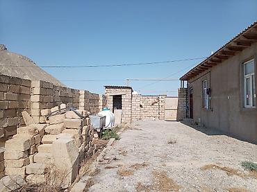 bine savxozda satilan heyet evleri: Həyət evləri və villaların satışı — 5