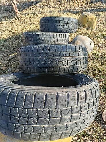 выкуп нексияа: Комплект автомобильных шин Dunlop размером 185/55 R15 82Q. Зимние — 2