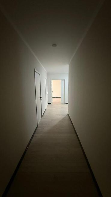 554: 1 комната, 53 м², Пишпек Элитка, 4 этаж, Евроремонт — 3
