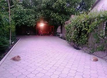 Продажа коттеджей и домов: Продаётся частное домовладение с уютным озеленённым двором. - — 7