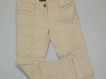 dżinsowe spódnico spodnie: Джинси, L, стан - Хороший