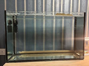 Akvariumlar: Böyük 80lt
Kiçik 6lt

Hər ikisi də satılır — 4
