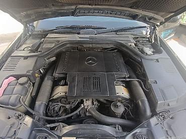 Mercedes-Benz: Mercedes-Benz S-Class: 1995 г., 5 л, Автомат, Бензин, Седан — 4