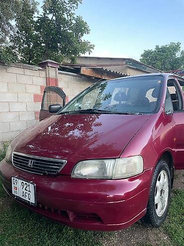 Honda: Honda Odyssey: 1995 г., 2.2 л, Автомат, Бензин, Минивэн — 2