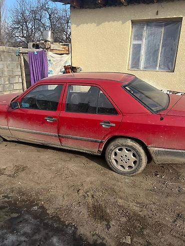 Mercedes-Benz: Mercedes-Benz W124: 1989 г., 2.3 л, Механика, Бензин, Седан — 8