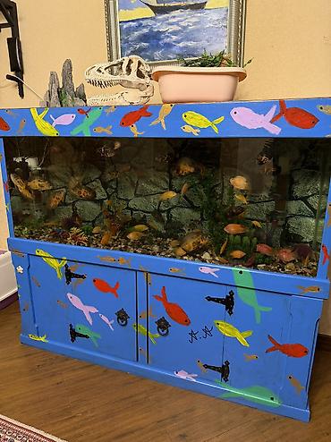 Akvariumlar: Продается аквариум 2 м с рыбами все вместе рыбы декор и — 27