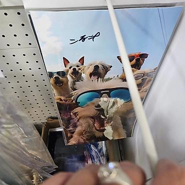 Tuning oprema: Nalepnice za stubove vrata (B-stub) su popularan način za — 10