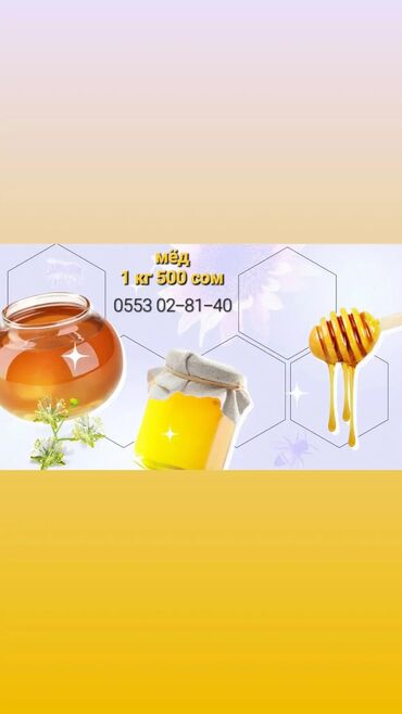 мёд цена бишкек: Мёд чистый,разнотравье 
г. токмок