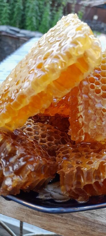 Bal: Qax Dağ Sarıbaş balı Qax Dağ Sarıbaş balı! Təbii, qatqısız, ekoloji -da lalafo.az — 10 Bal: Qax Dağ Sarıbaş balı Qax Dağ Sarıbaş balı! Təbii, qatqısız, ekoloji — 10