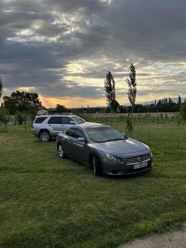 автомобиль kia: Nissan Maxima: 2010 г., 3.5 л, Вариатор, Бензин, Седан