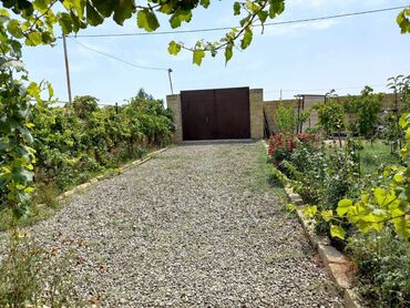 Həyət evləri və villaların satışı: 🏡 Təcili satılır: Sumqayıt – Yaşma bağlarında 3 otaqlı bağ evi (6 sot) — 8