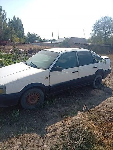 e53 amg: Volkswagen Passat: 1990 г., Седан — 2