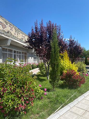 Иссык-Куль 2026: Номер, Аист Тамга — 21