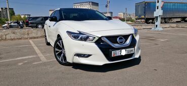 Nissan: Nissan Maxima: 2016 г., 3.5 л, Автомат, Бензин, Седан — 12