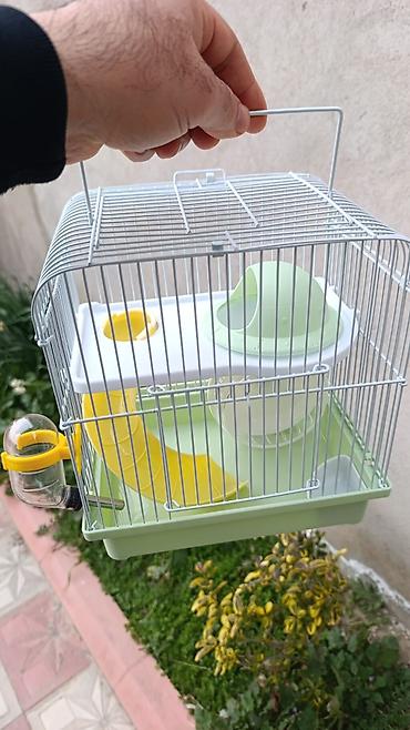 Gəmiricilər: Yeni 2mərtəbəli qəfəs 2xomyak ağ və boz🐭 qəfəsin içində Fırlanan çarxı — 3