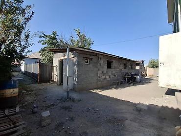 всё родное: 8 соток — 3