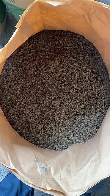 Зерновые культуры: Беде урук Бишкек оптом 🤝 — 4