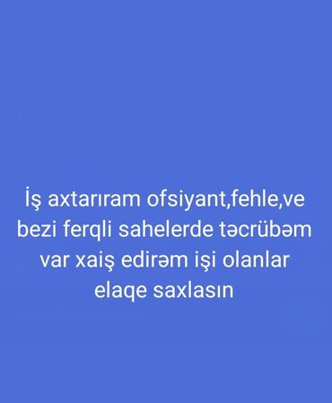 xacmazda iş: Ofisiant. Təcrübəli