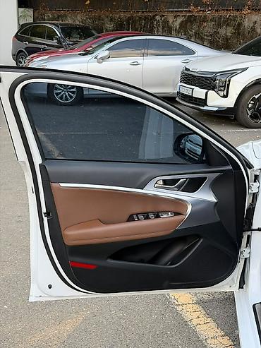 Hyundai: Hyundai Genesis: 2020 г. — 16