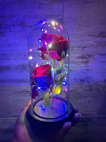 Praznična dekoracija: Večna ruža u staklenom zvonu sa led lampicom 🌹✨ čarobna ruža u — 1