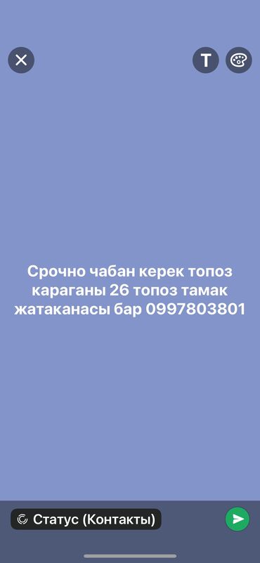 моноблок 16: 15000