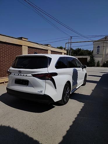 afdamabiler: Toyota Sienna: 2.5 l | 2021 il Van/Minivan — 7