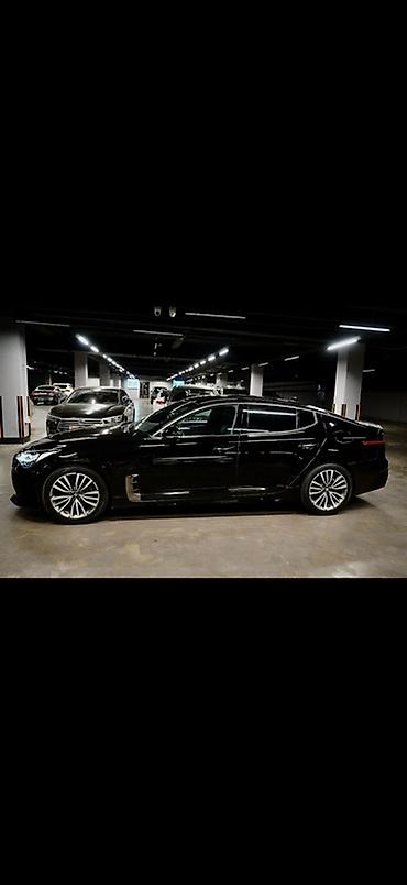 mark х: Kia Stinger: 2019 г., 2 л, Типтроник, Бензин, Лифтбек — 4