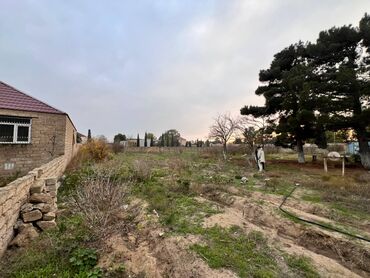 купить участок в баку: 28 соток, Для строительства, Риэлторам не беспокоить, Купчая
