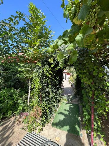 Bağ evlərinin kirayəsi: Pirşağı qəs., 130 kv. m, 4 otaqlı, Hovuzsuz, Qaz, Su — 20