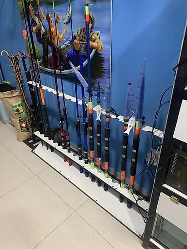 filter akvarium: Magaza baglandıqı ucun vitrınler TECİLİ SATİLİR — 2