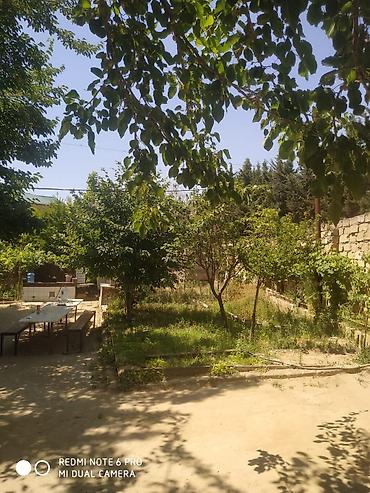 afrem evler: 4 otaqlı, 146 kv. m — 4