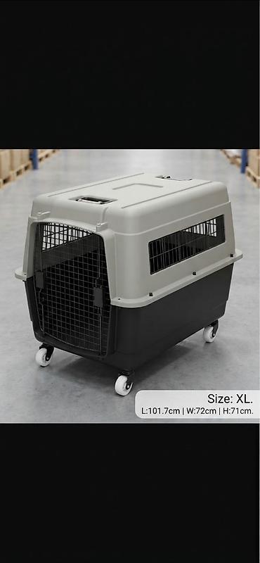 колосья: 🐾✈️ Путешествуете? Не оставляйте своего питомца дома! Берите любимца — 3