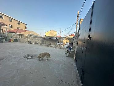 sulutəpədə satılan evlər: 4 otaqlı, 120 kv. m, Kredit yoxdur, Orta təmir — 3