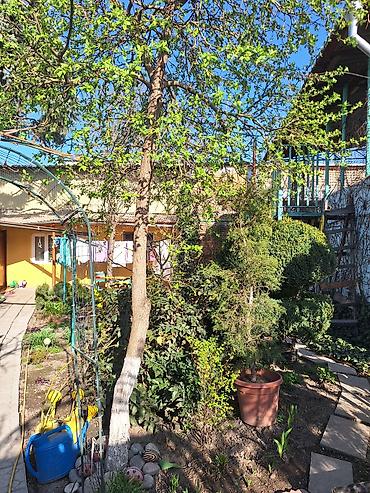 Продажа коттеджей и домов: 3 комнаты, 80 м², 4 соток, Орто-Сай, Собственник — 18