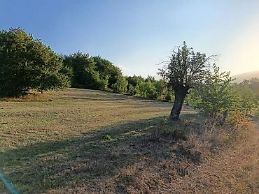 Torpaq sahələrinin satışı: Kənd təsərrüfatı — 9